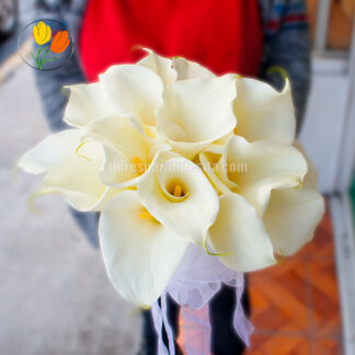 Ramo redondo atado de alcatraz