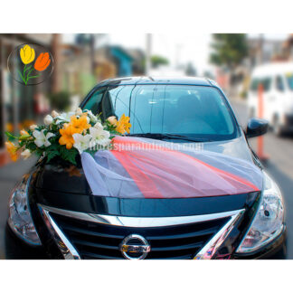 auto para xv años