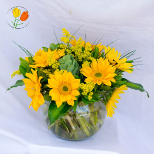 10 girasoles mini en pecera