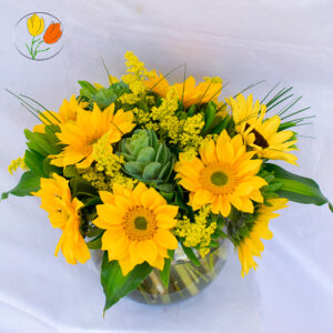 10 girasoles mini en pecera