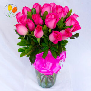 18 rosas fucsia en jarron