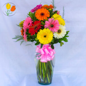 24 gerberas en jarron
