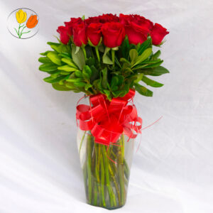 24 rosas rojas en jarron