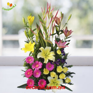 Iris gerberas y lilis