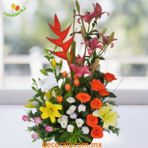 Tulipanes rosas y lilis