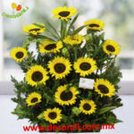 Arreglo de girasoles en canasta
