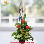 Orquidea cymbidium rosas y hortensias