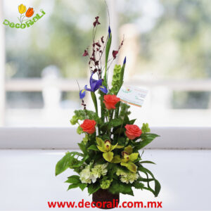 Orquidea cymbidium rosas y hortensias