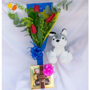 Combo tulipan peluche y ferrero