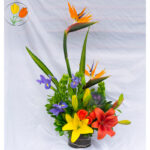 Ave de paraíso lilis y rosas