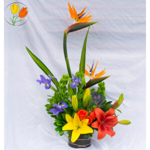 Ave de paraíso lilis y rosas