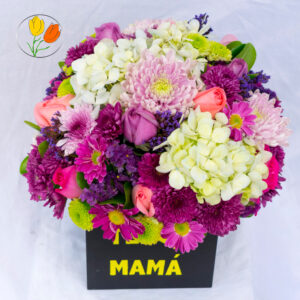 Colorido redondo en caja