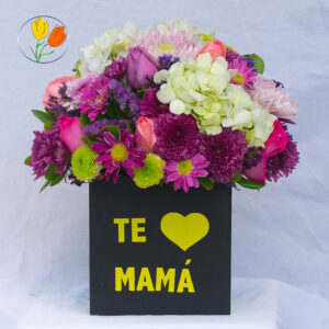 Colorido redondo en caja