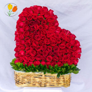 Corazon gigante 200 rosas