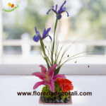 Iris lilis y rosas