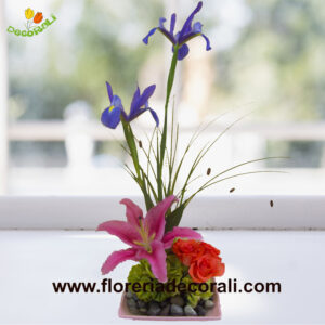 Iris lilis y rosas