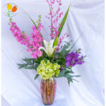 Hortensia y matiolas