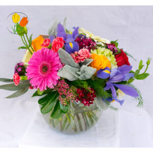 Primaveral en pecera