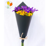 Ramo de iris en cono