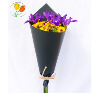 Ramo de iris en cono