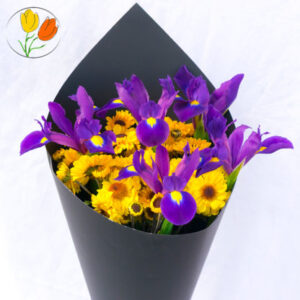 Ramo de iris en cono