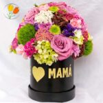 Colorido redondo en caja