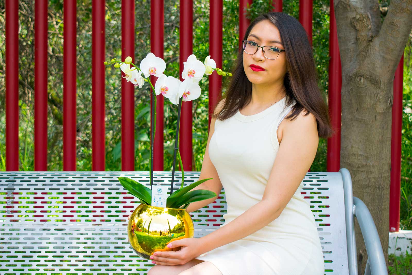 Envia flores y regalos a Estado de Mexico y CDMX