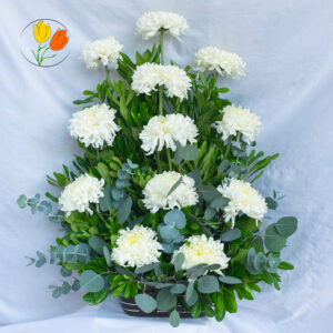 Crisantemos en barro