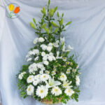 lili iris y gerbera en canasta